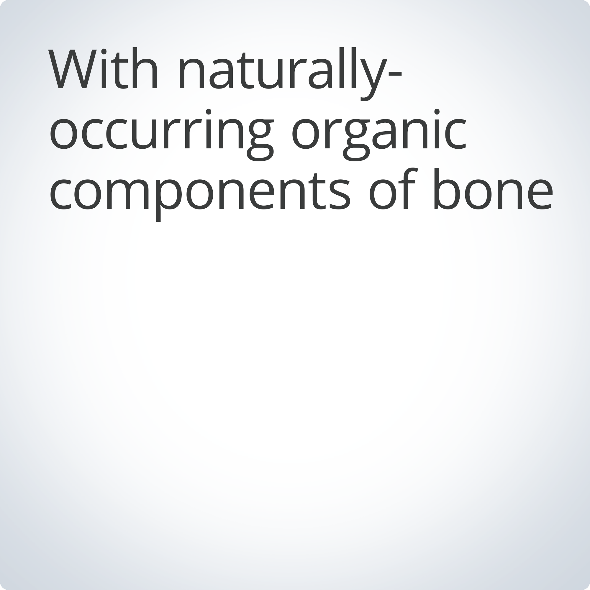 Bone BuilderÂ® Prime Bone Health Support | Metagenics