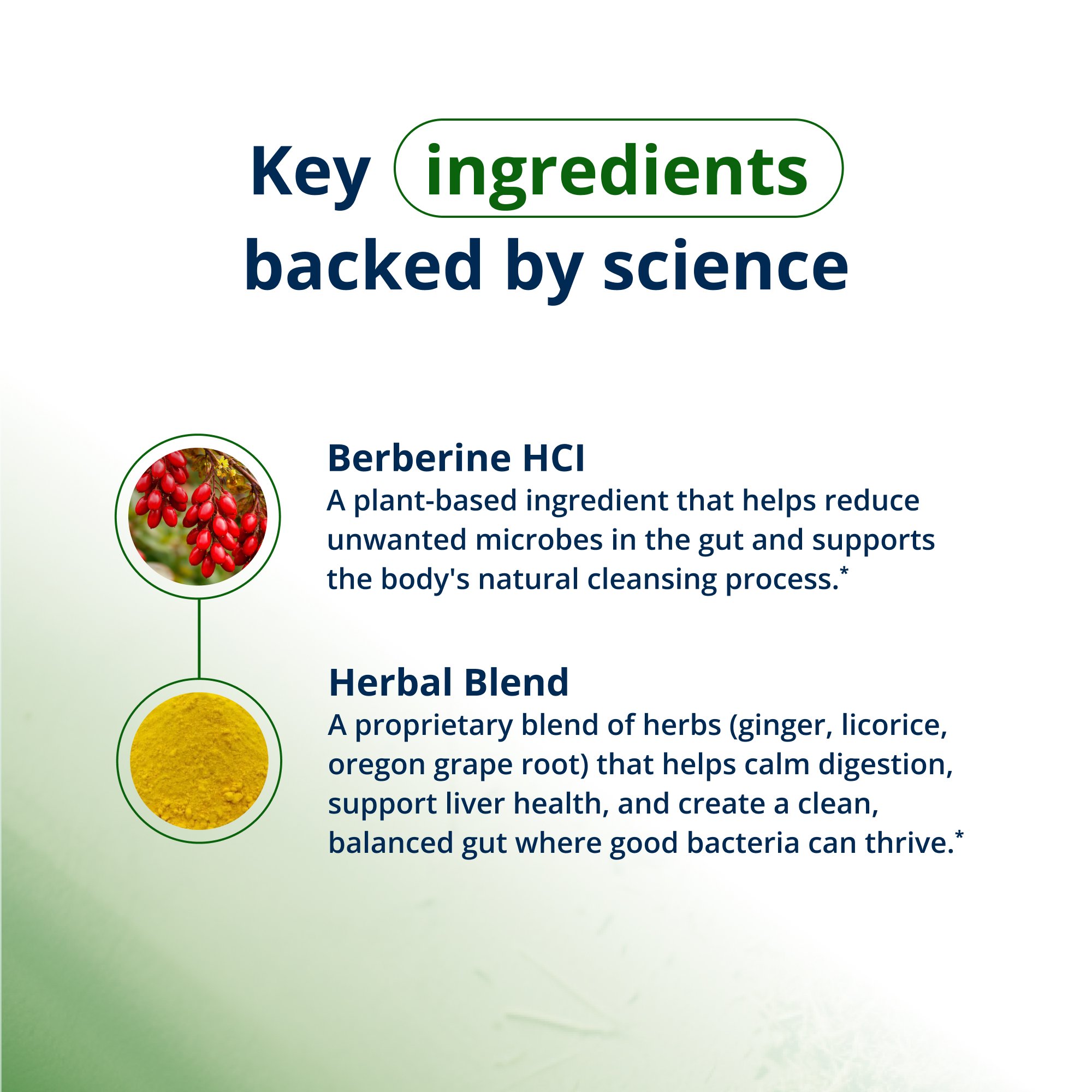 CandiBactin-BR | Metagenics