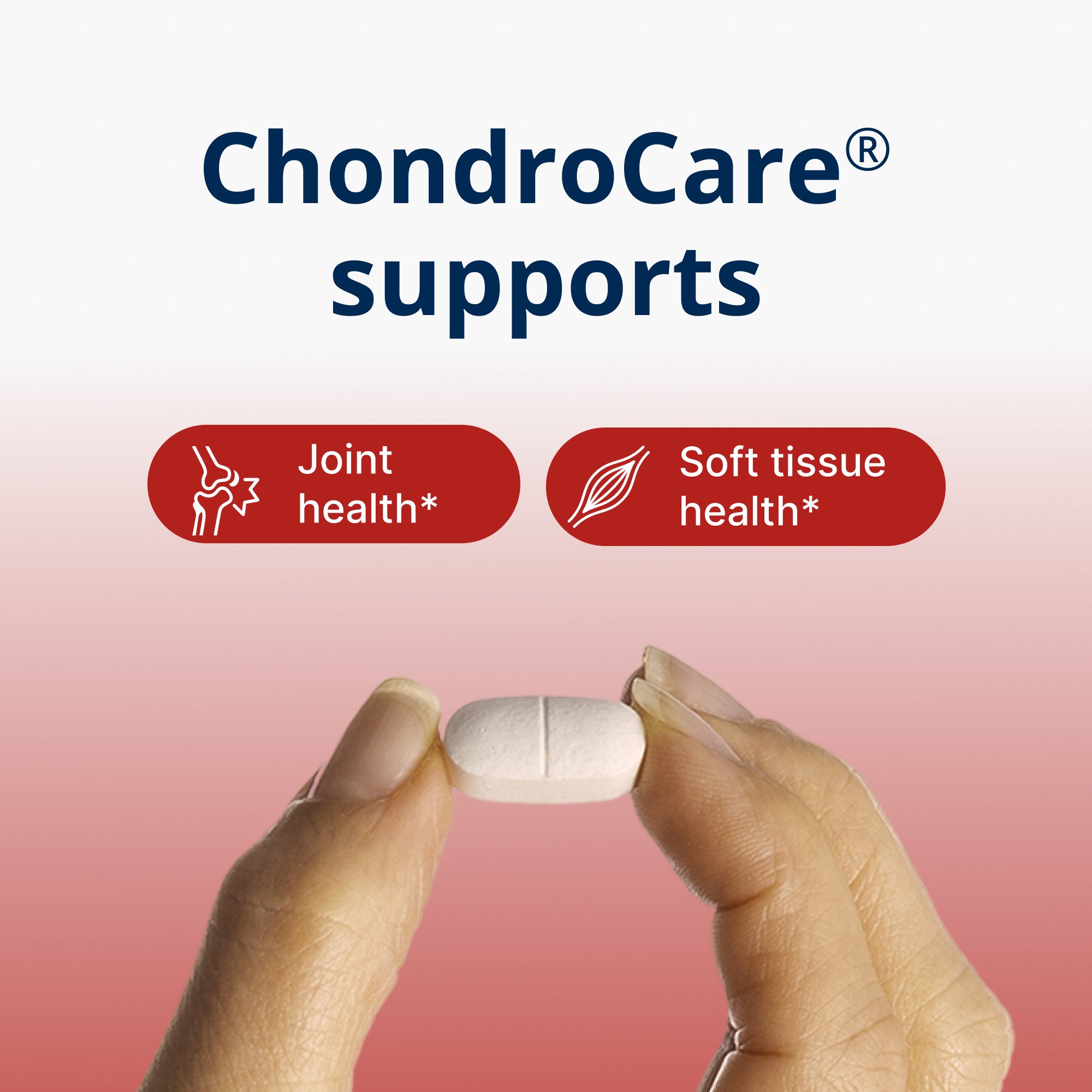 ChondroCareÂ® | Joint Health Supplement | Metagenics