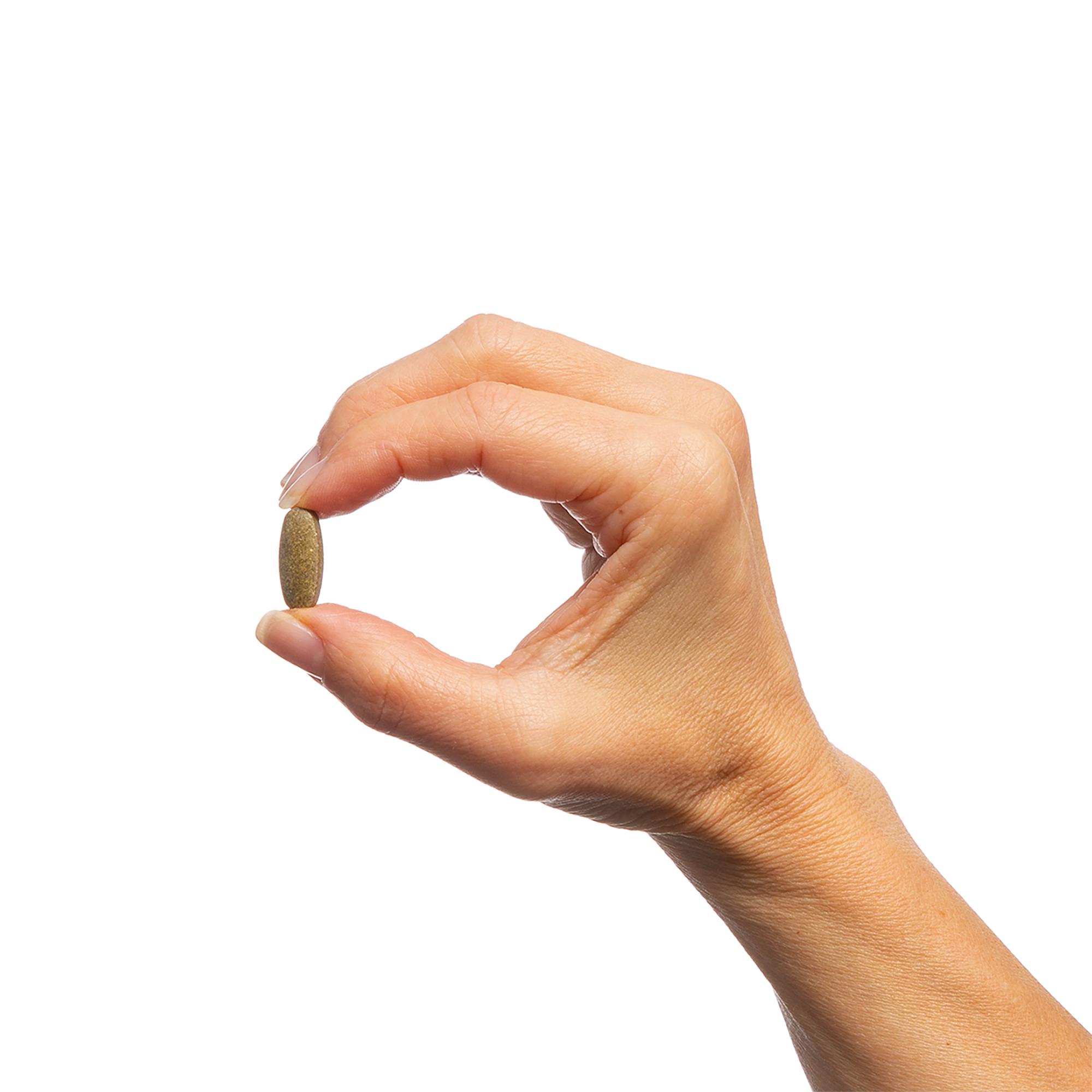 Echinacea Synergyâ„¢ | Herbal Immune Support | Metagenics