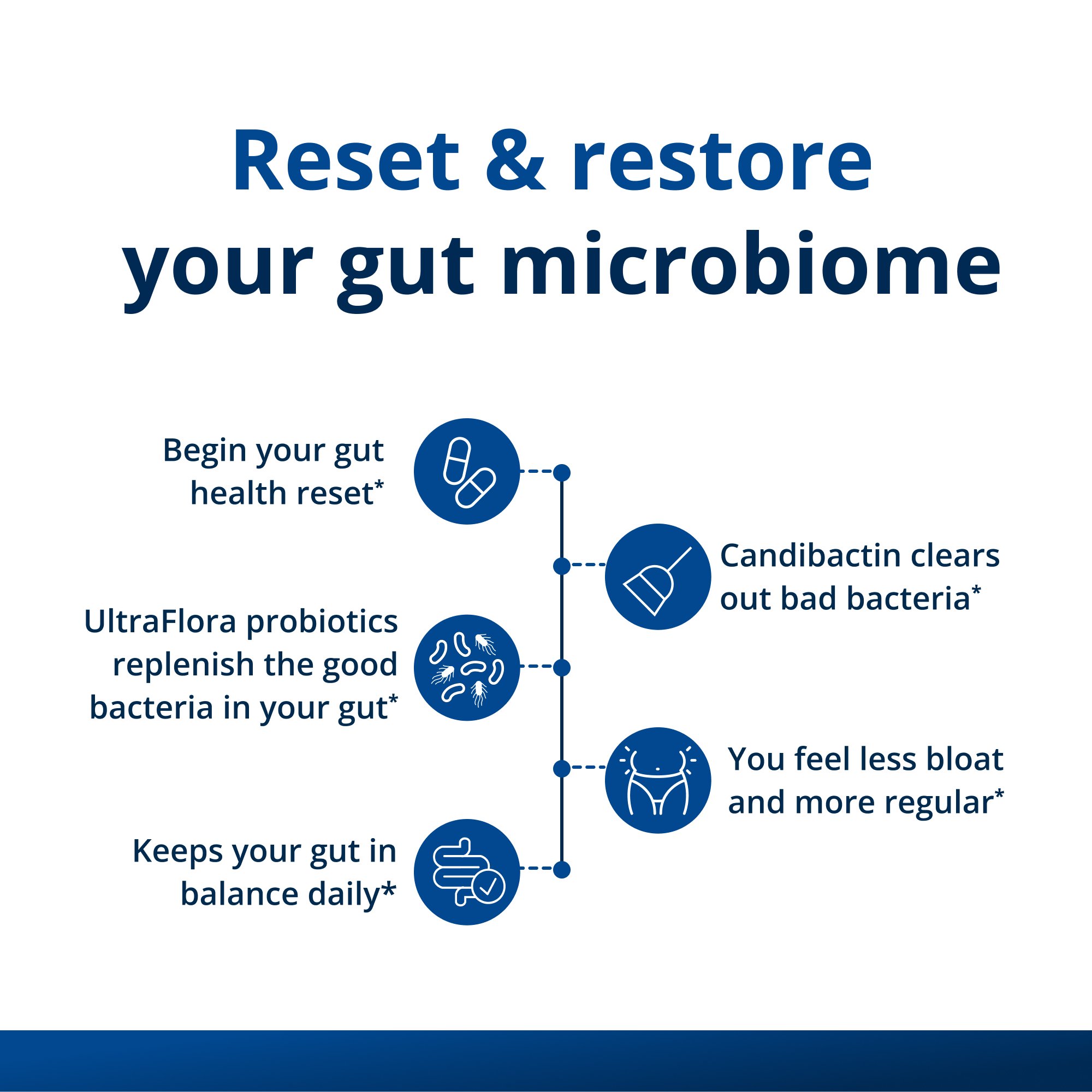 Gut Health Bundle