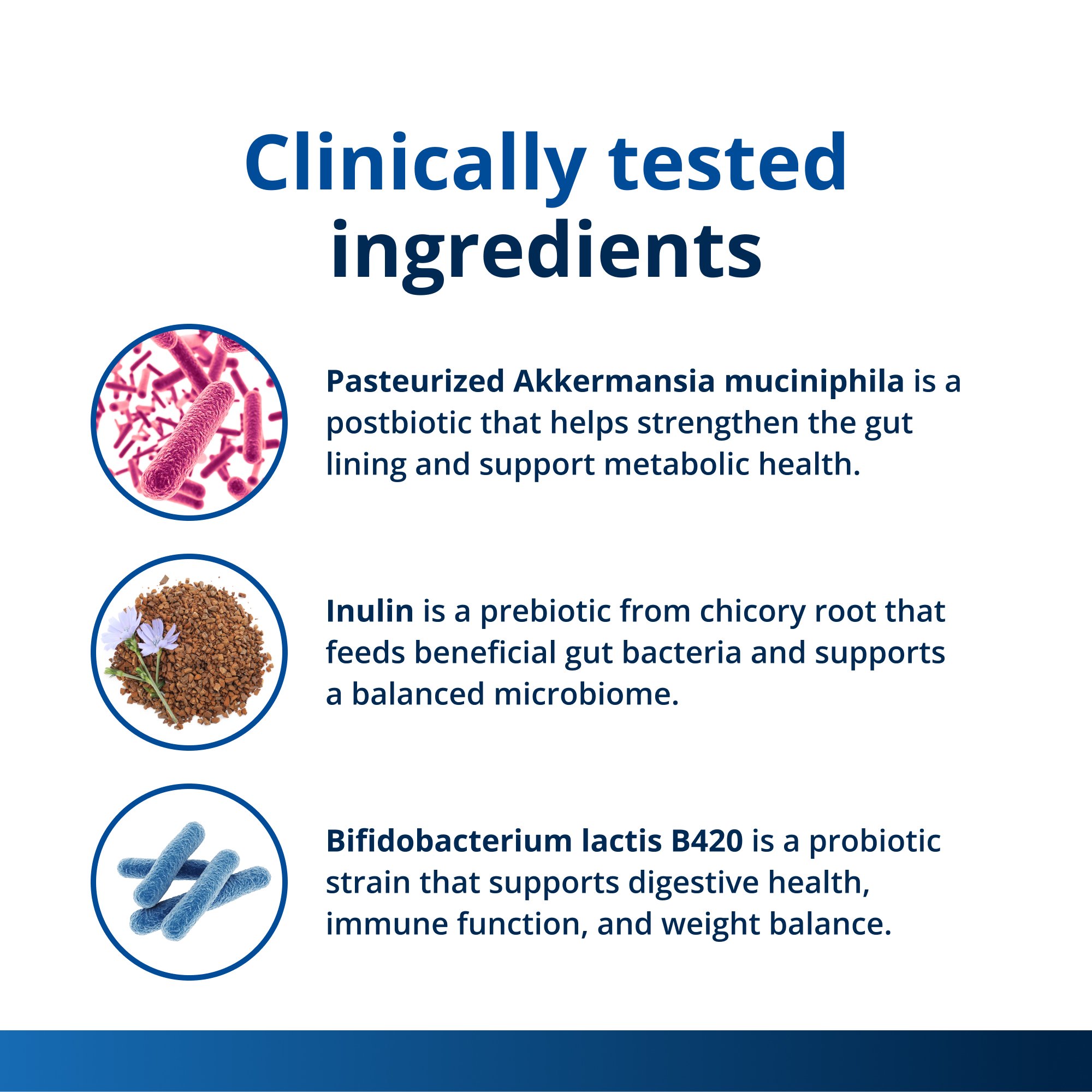 InnerHealth Triplebiotic with Akkermansia | Gut Health by Metagenics