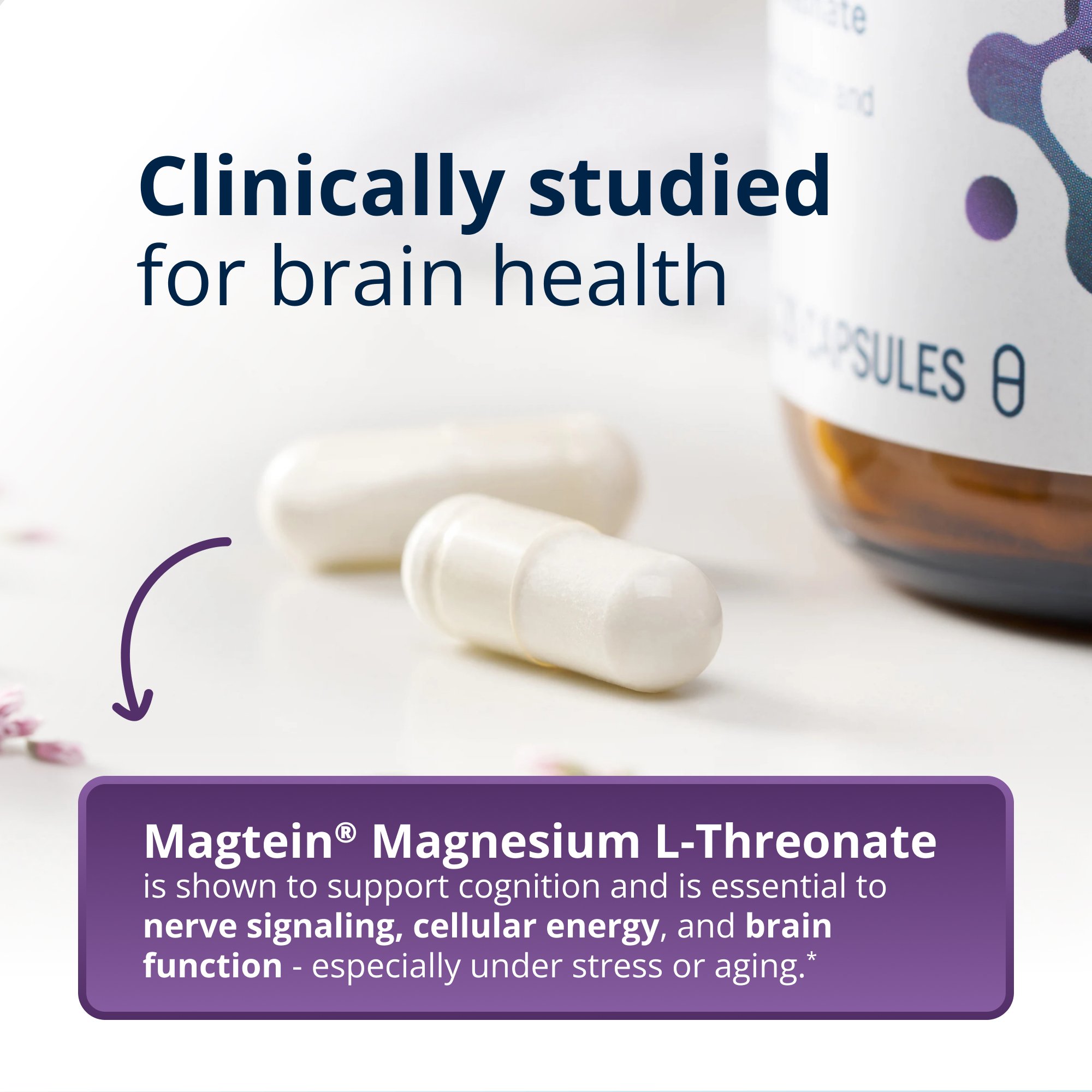 MagteinÂ® Magnesium L-Threonate | Metagenics