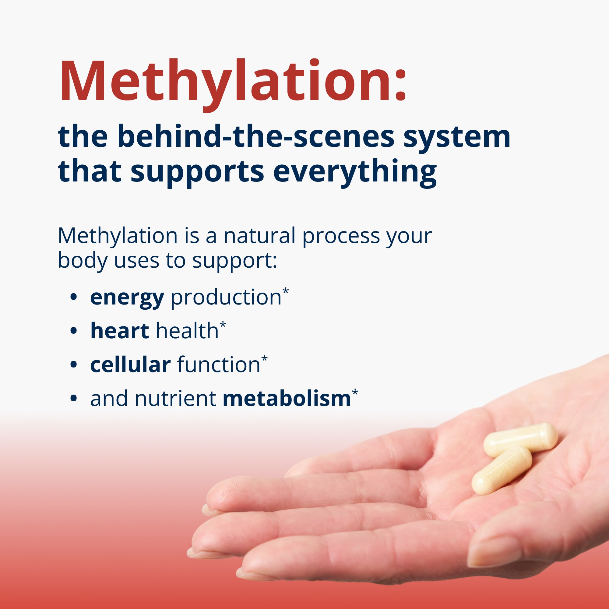 MethylCareÂ® Methylation Supplement | Metagenics