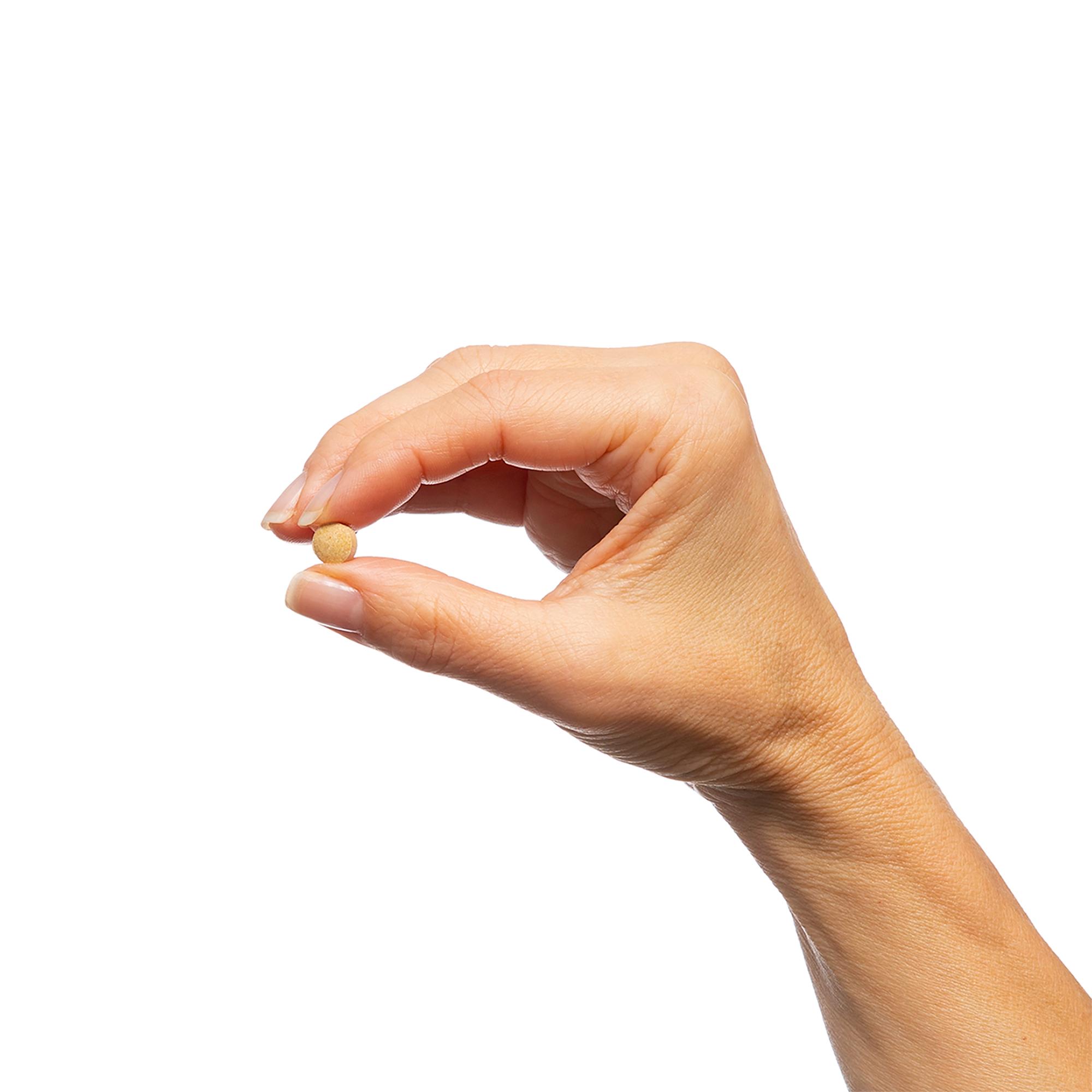 Milk Thistle Extract Supplement | Metagenics
