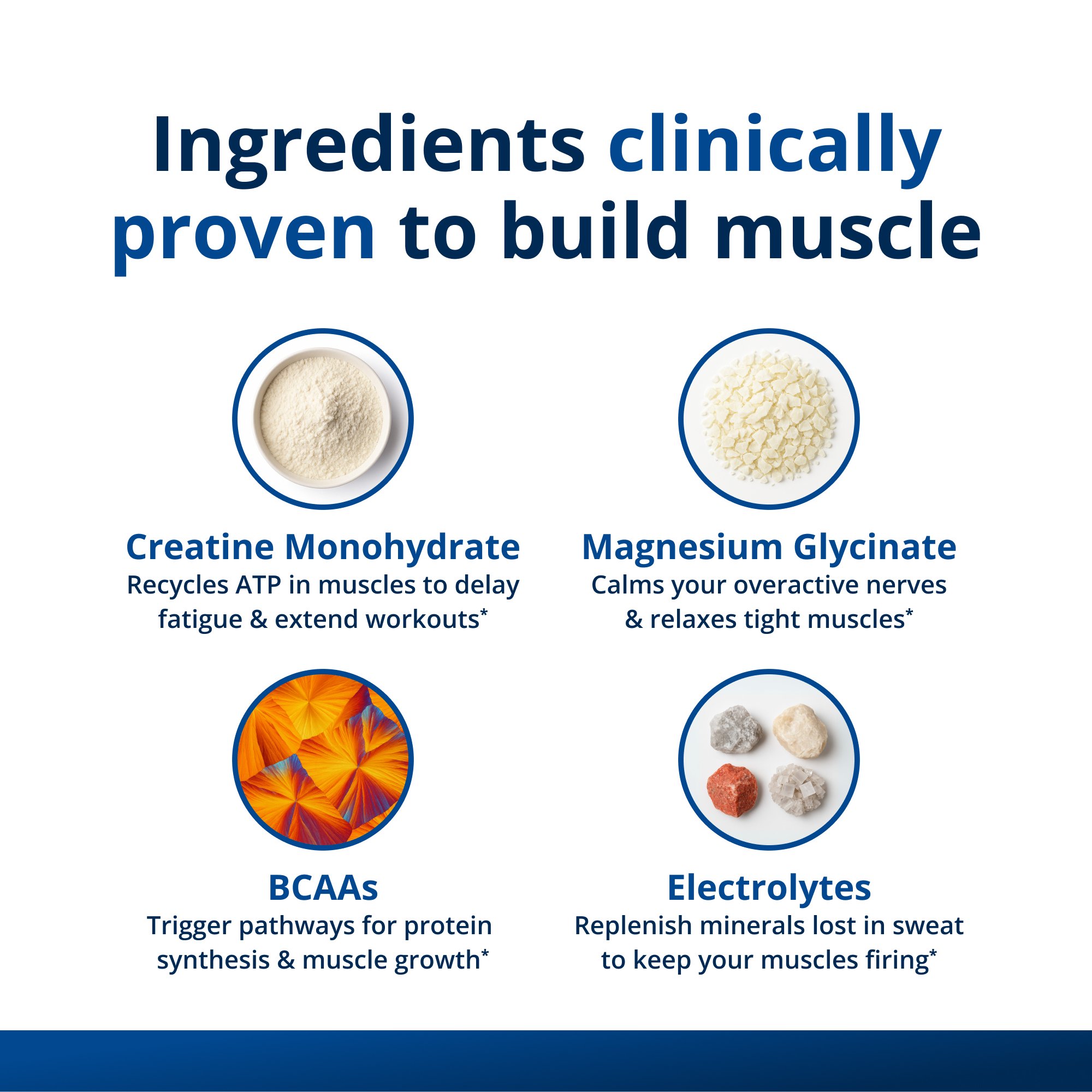 Muscle Gains Bundle