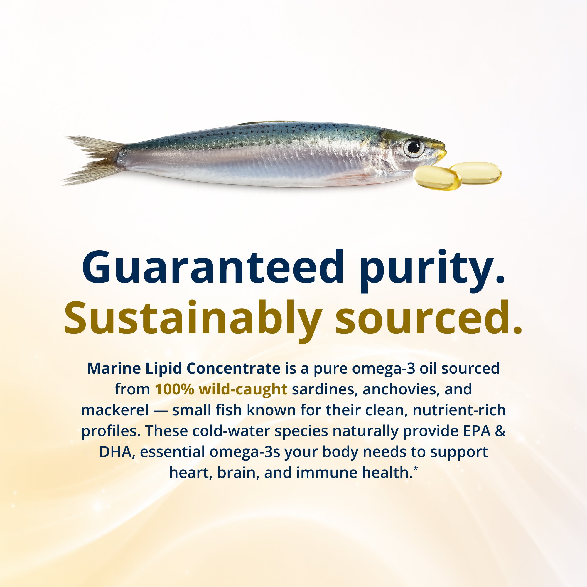 OmegaGenicsÂ® Omega-3 Fish Oil 500mg EPA-DHA | Metagenics