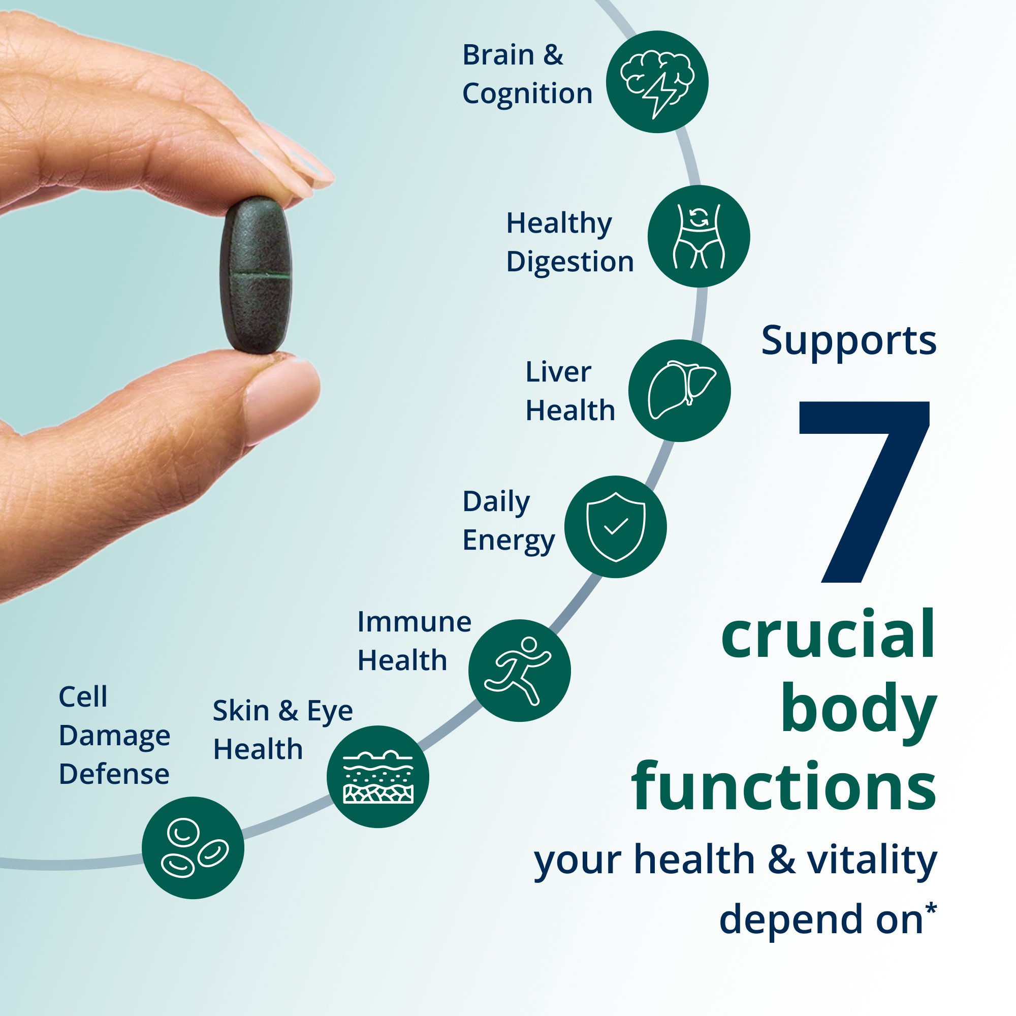 PhytoMultiÂ® Multivitamin Tablets | Metagenics