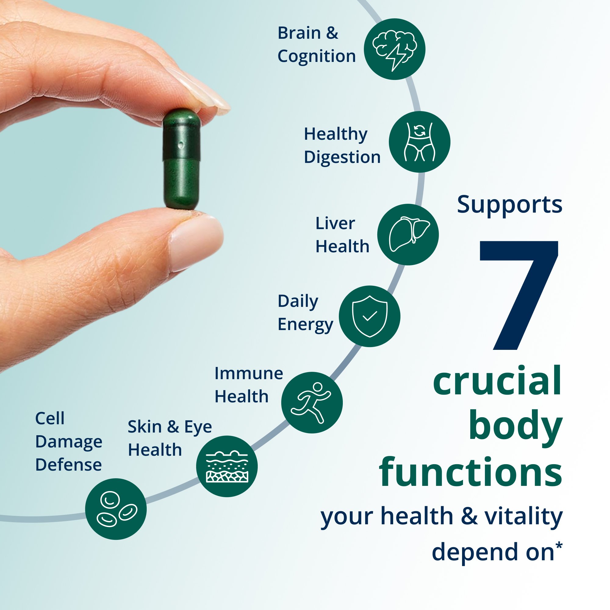 PhytoMulti Multivitamin Capsules | Metagenics
