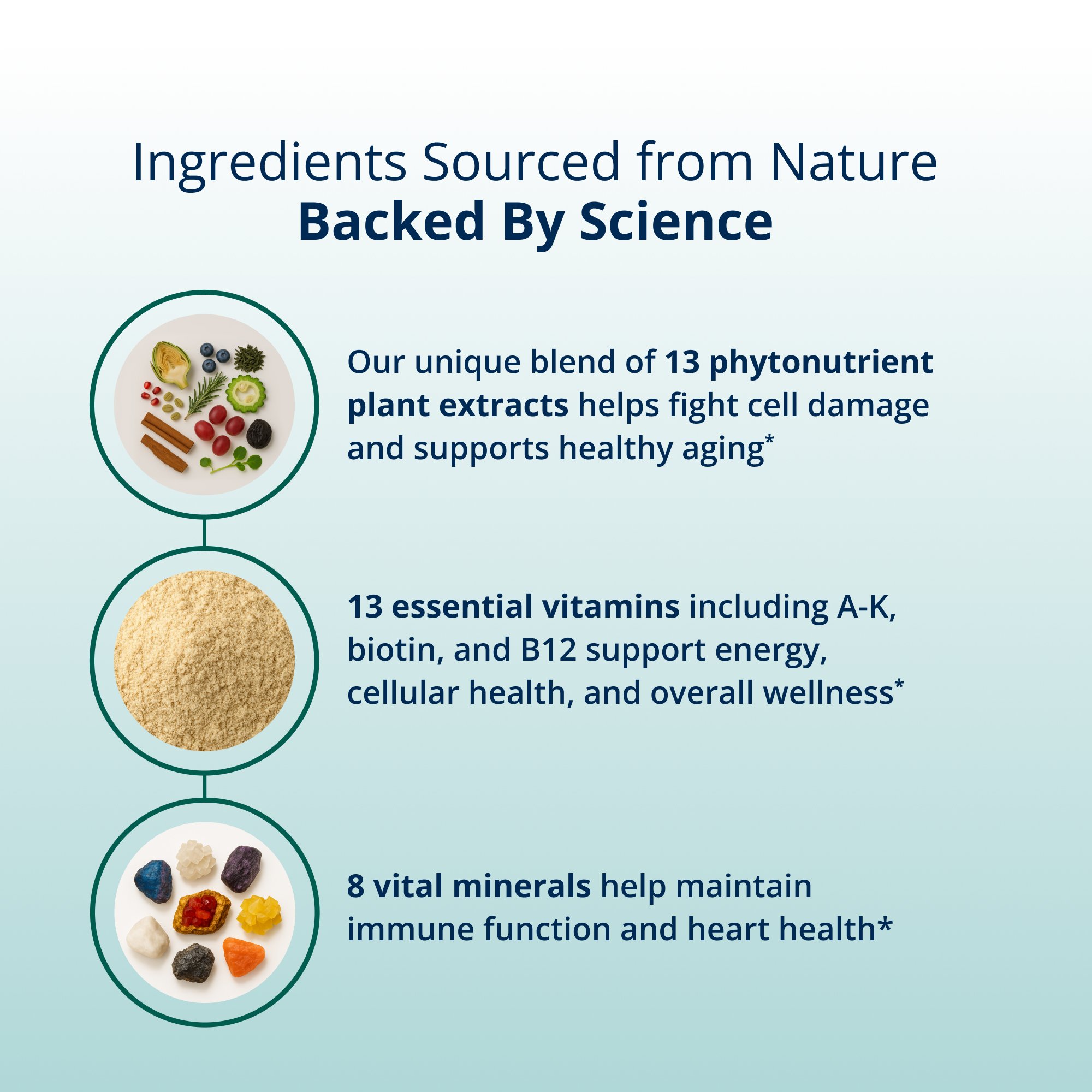 PhytoMulti Multivitamin Capsules | Metagenics