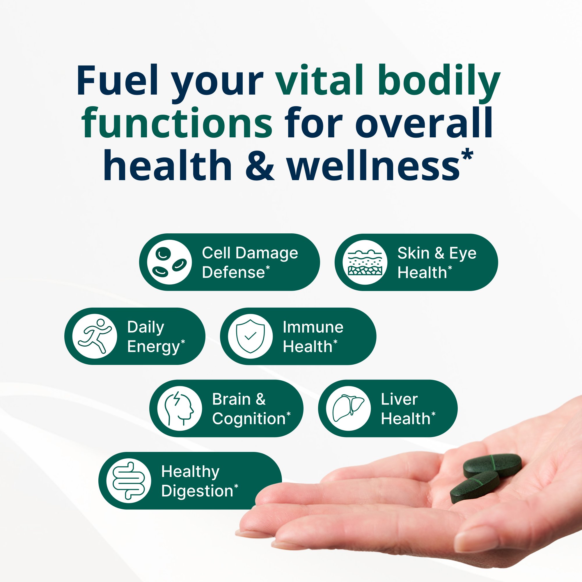 PhytoMulti Multivitamin with Iron | Metagenics