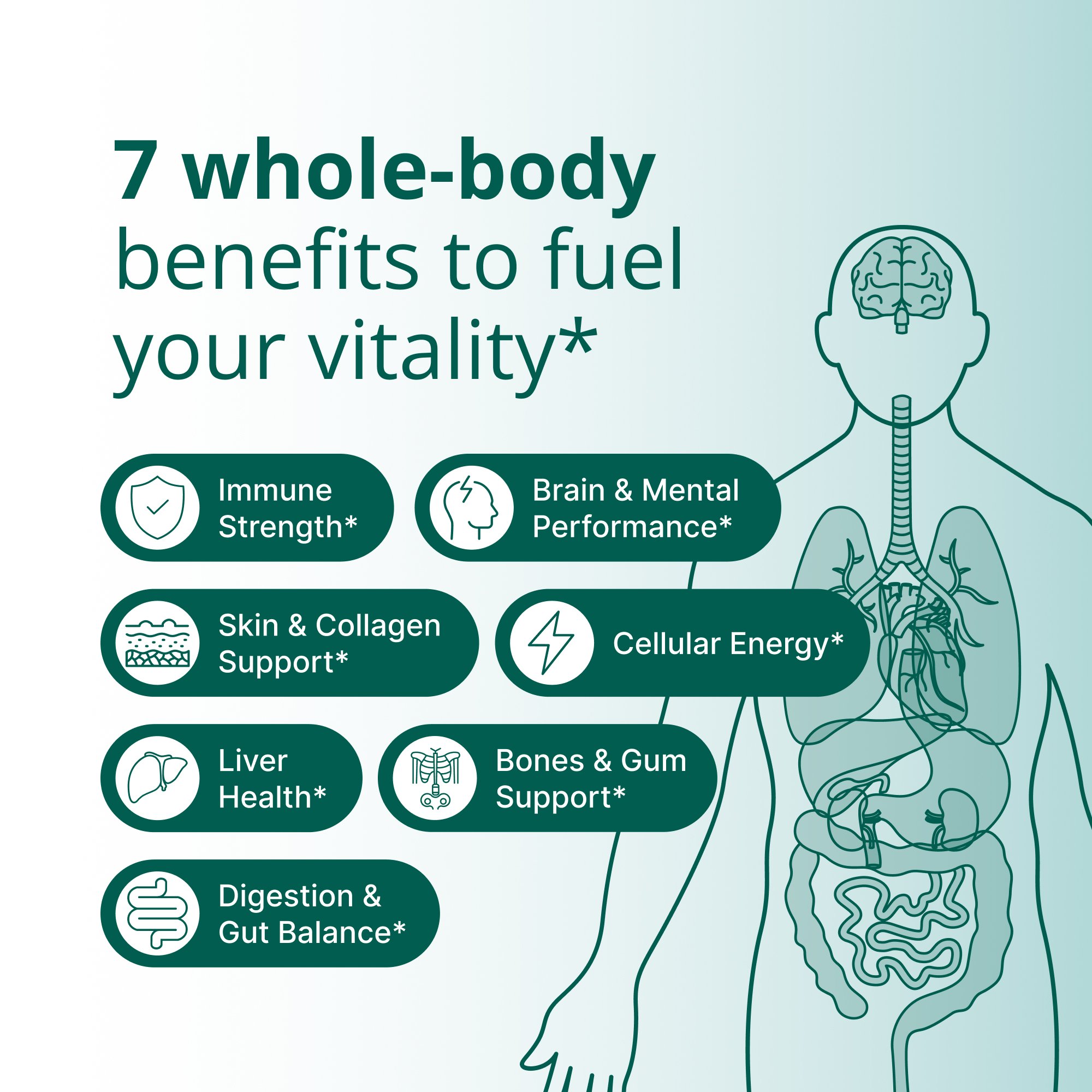 PhytoMultiÂ® Superfoods Powder Supplement | Metagenics