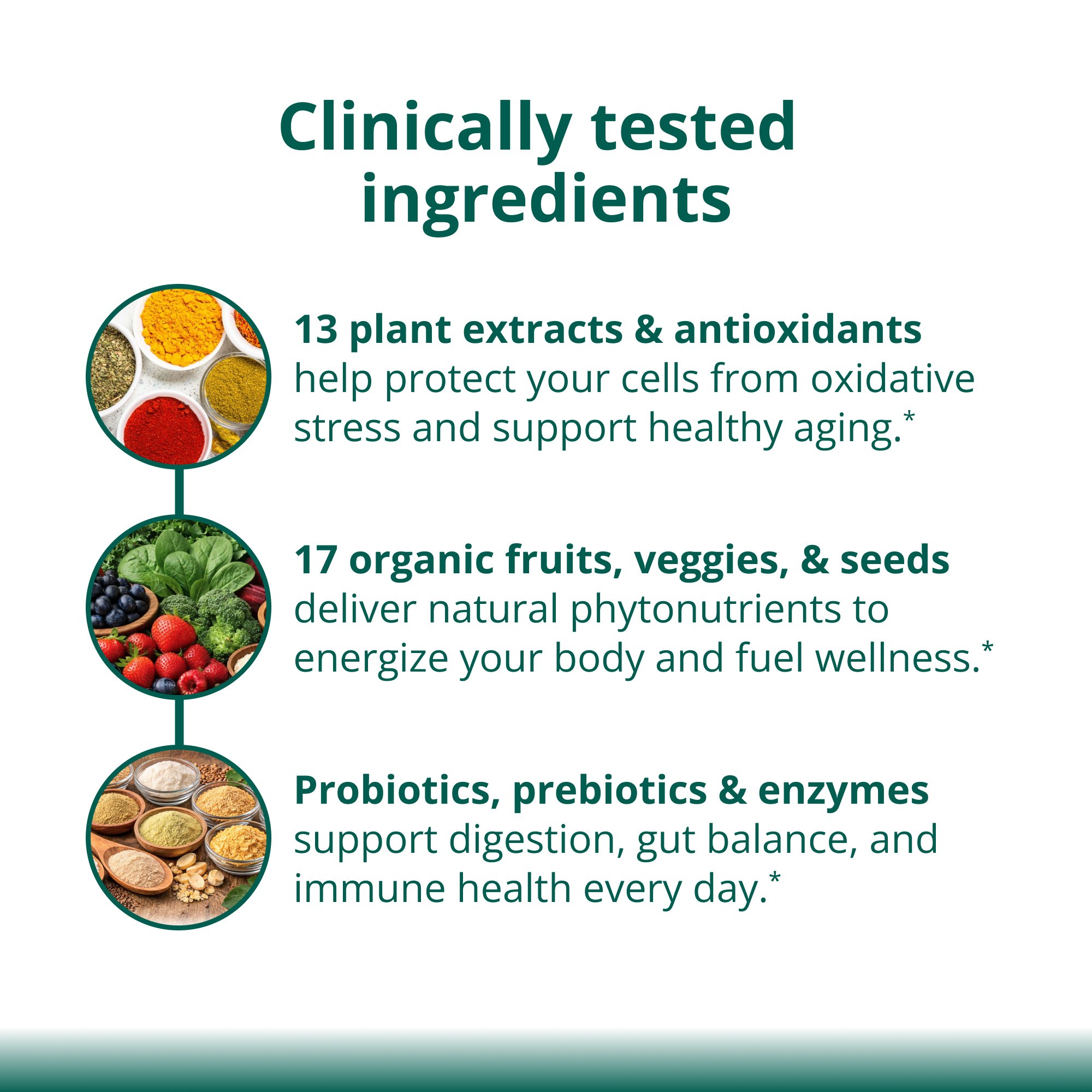PhytoMultiÂ® Superfoods Powder Supplement | Metagenics