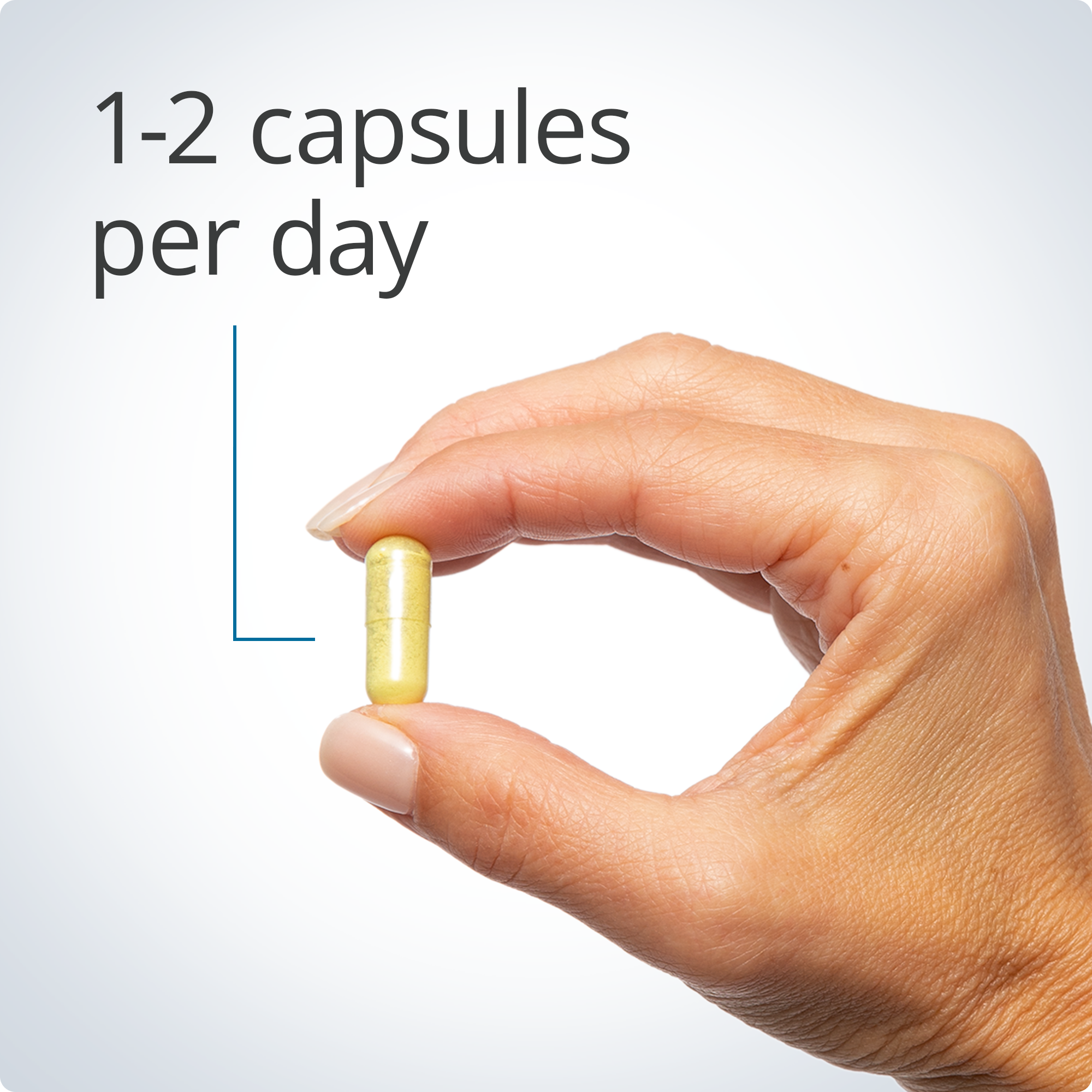 Quercetin 500 mg Supports Immune and Heart Function* | Metagenics