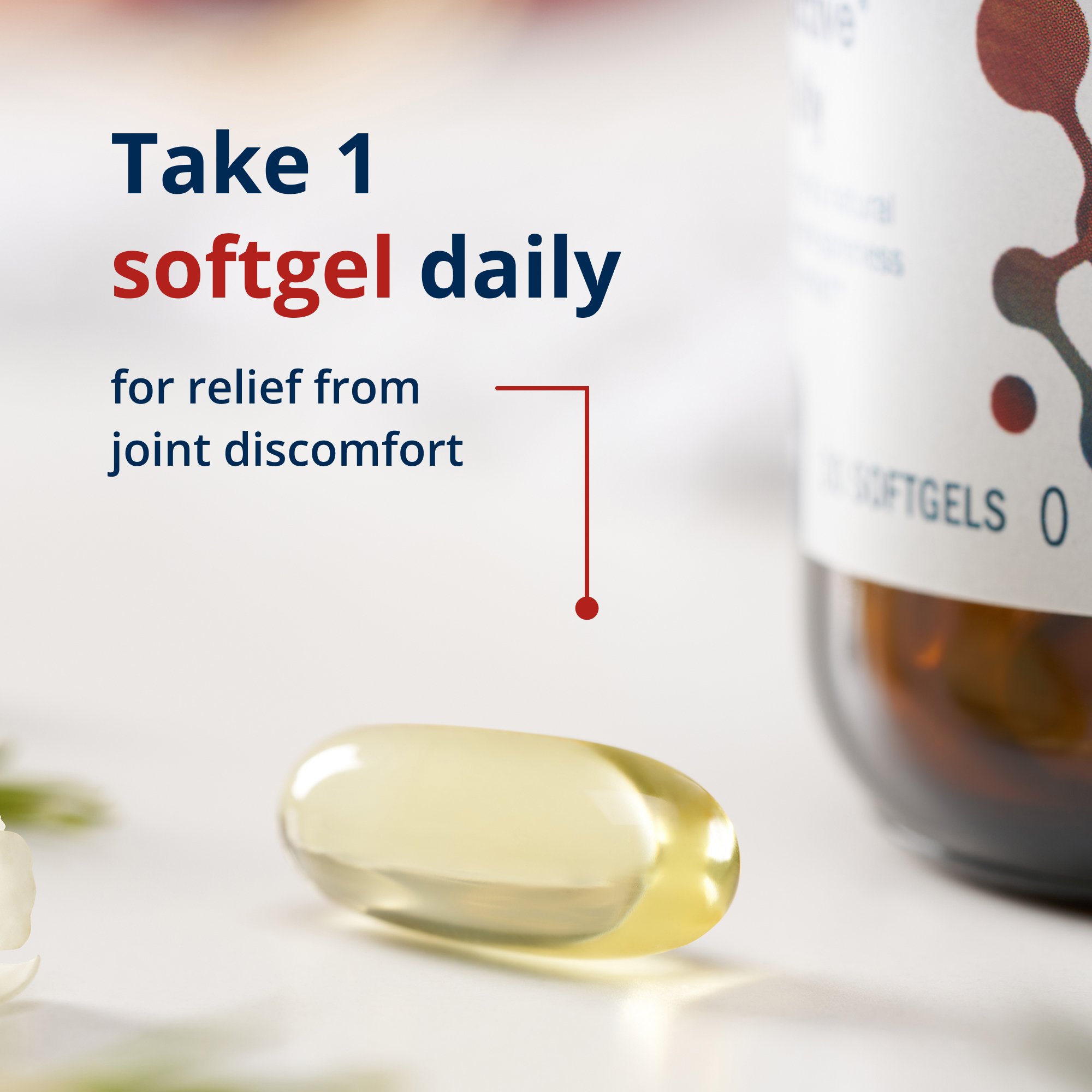 SPM ActiveÂ® One Daily for Body and Joint Support | Metagenics