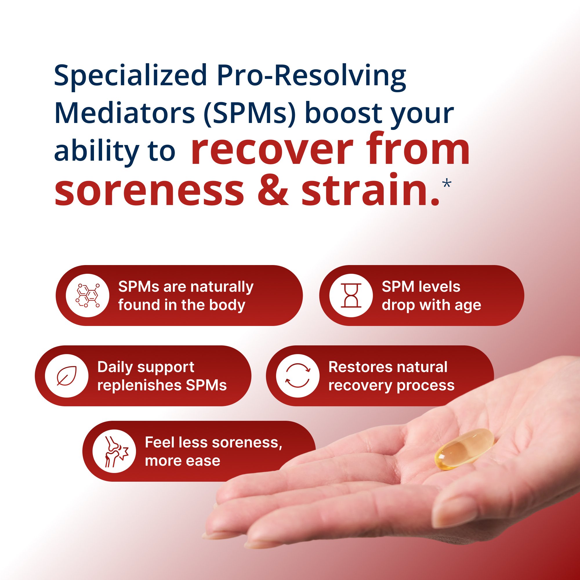 SPM ActiveÂ® One Daily for Body and Joint Support | Metagenics