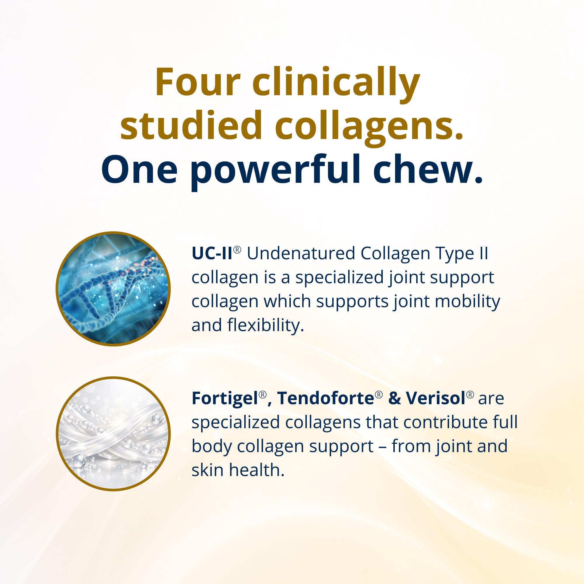 StayStrongâ„¢ 4-in-1 Multi Collagen Chews | Joints, Tendons & Skin