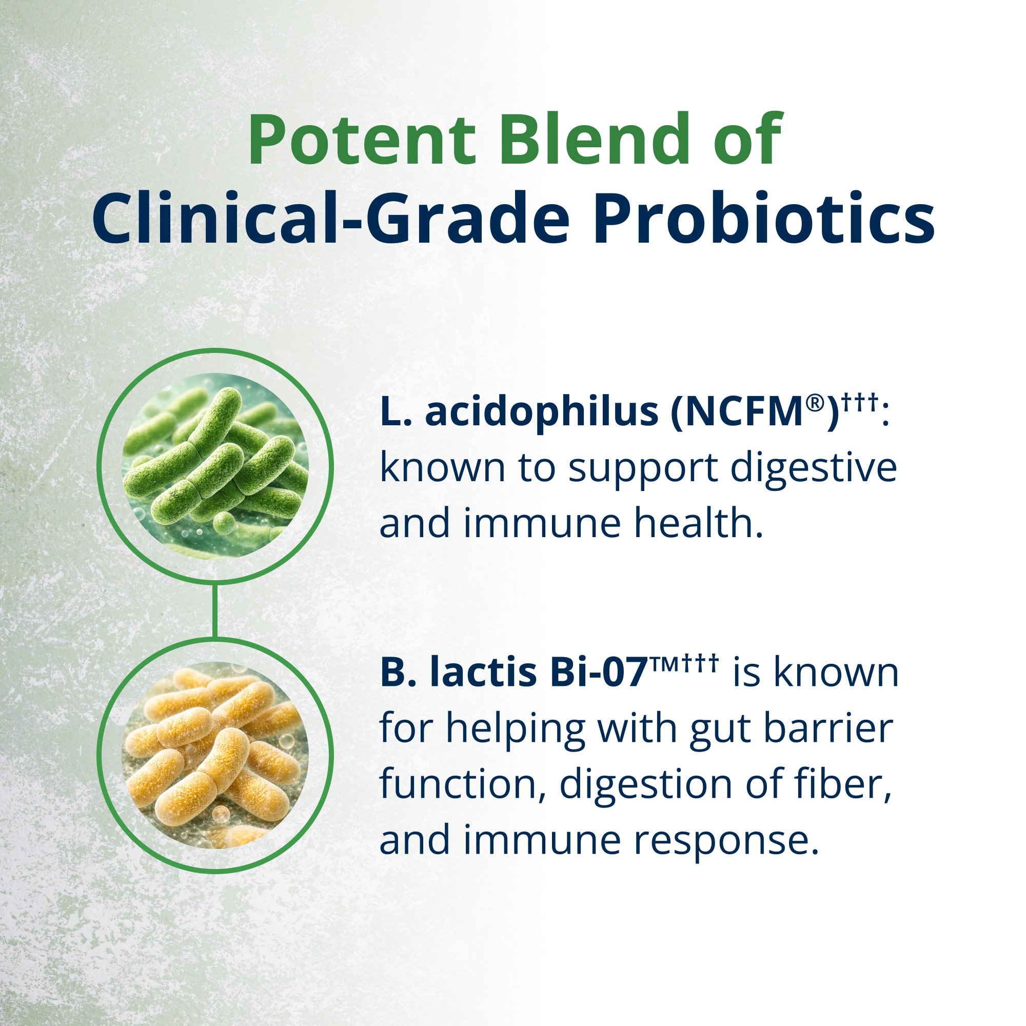 UltraFlora Balance Probiotic | Metagenics