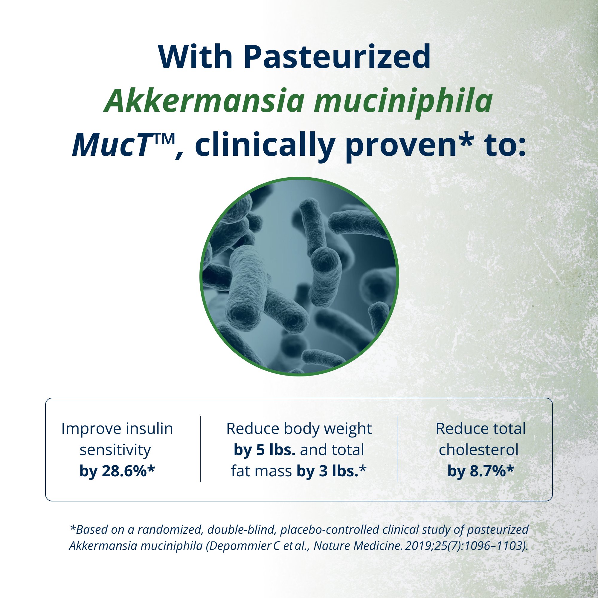 UltraFloraÂ® Healthy Weight with Akkermansia | Metagenics