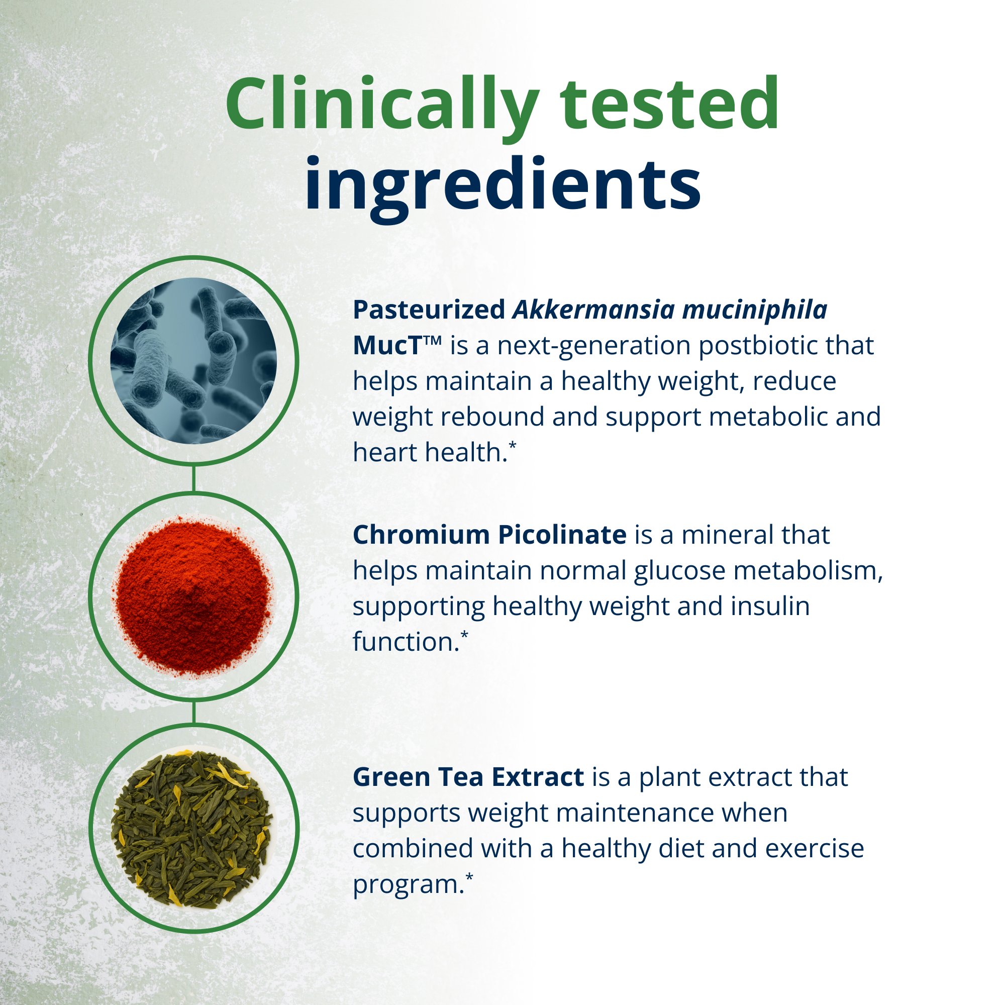 UltraFloraÂ® Healthy Weight with Akkermansia | Metagenics