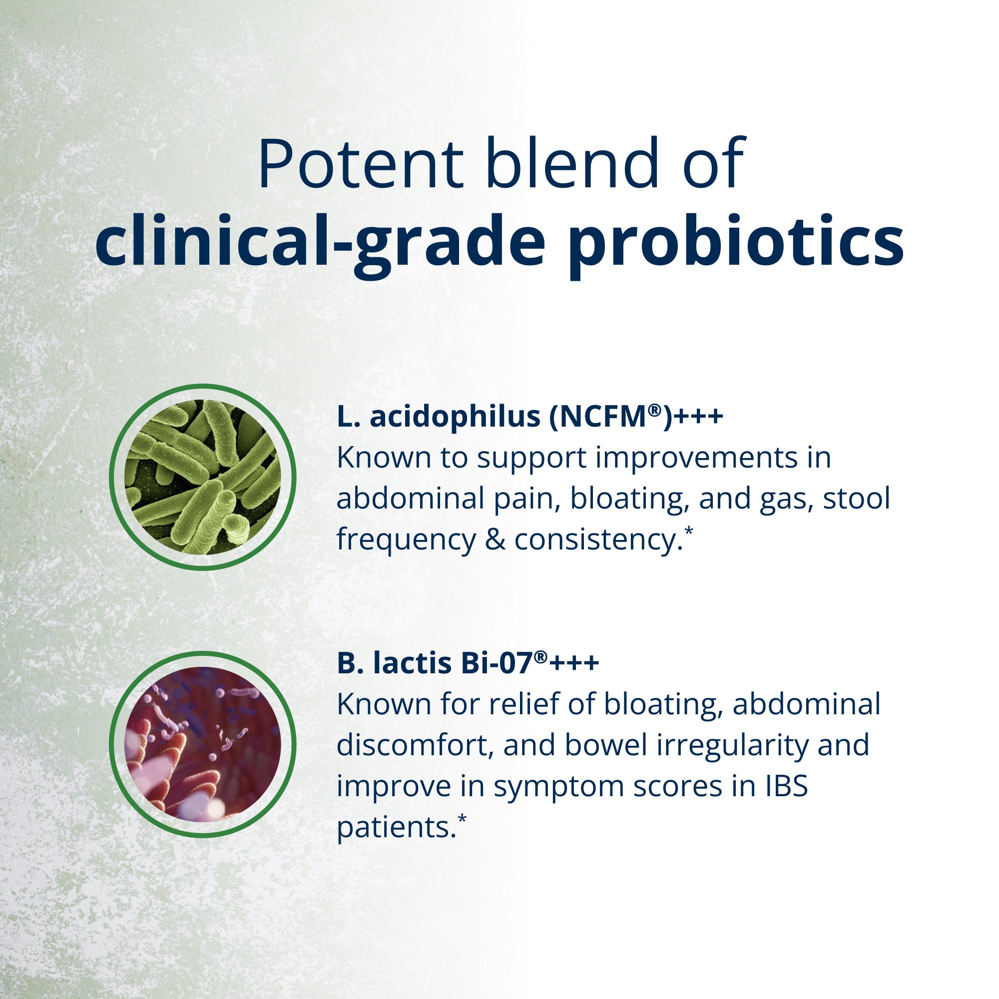 UltraFloraÂ® IB Probiotic Supplement | Metagenics