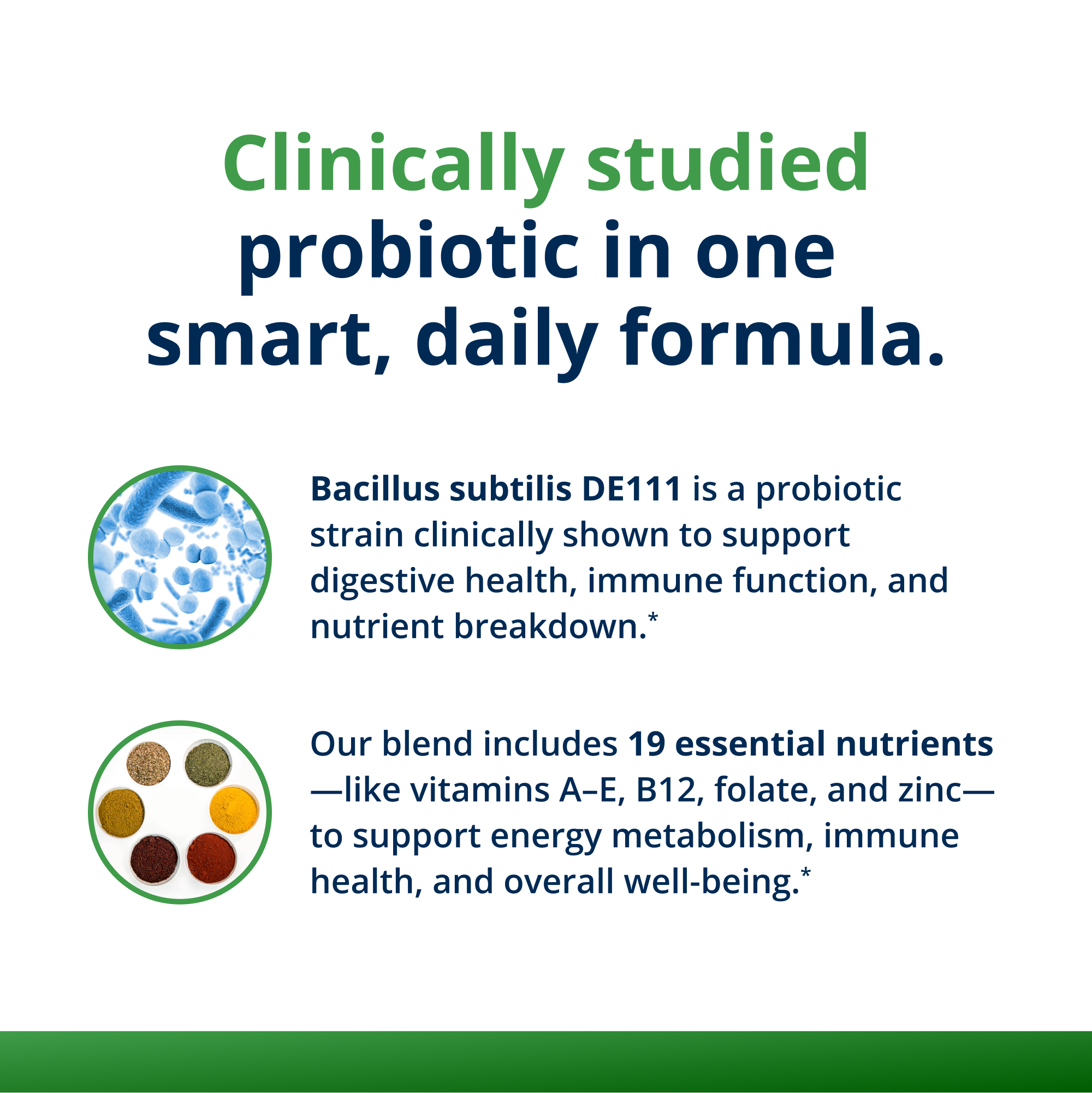UltraFloraÂ® Probiotic Plus Multivitamin | Gut & Energy Support