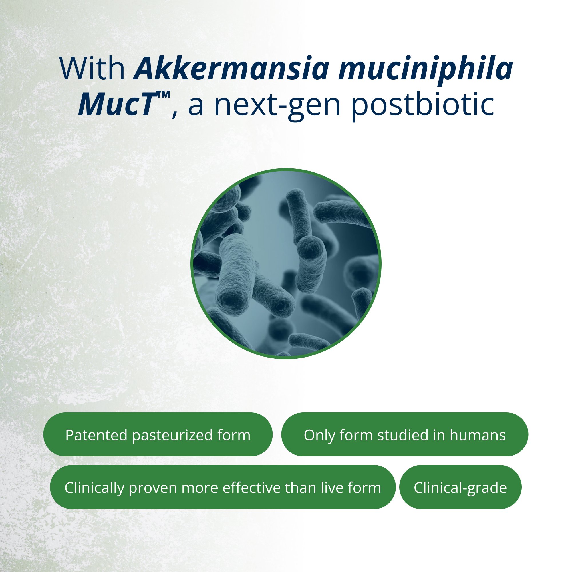 UltraFloraÂ® Triplebiotic with Akkermansia | Metagenics