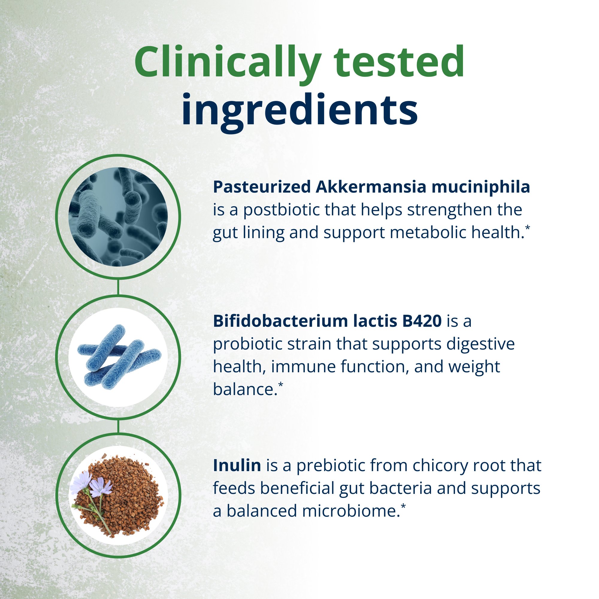 UltraFloraÂ® Triplebiotic with Akkermansia | Metagenics