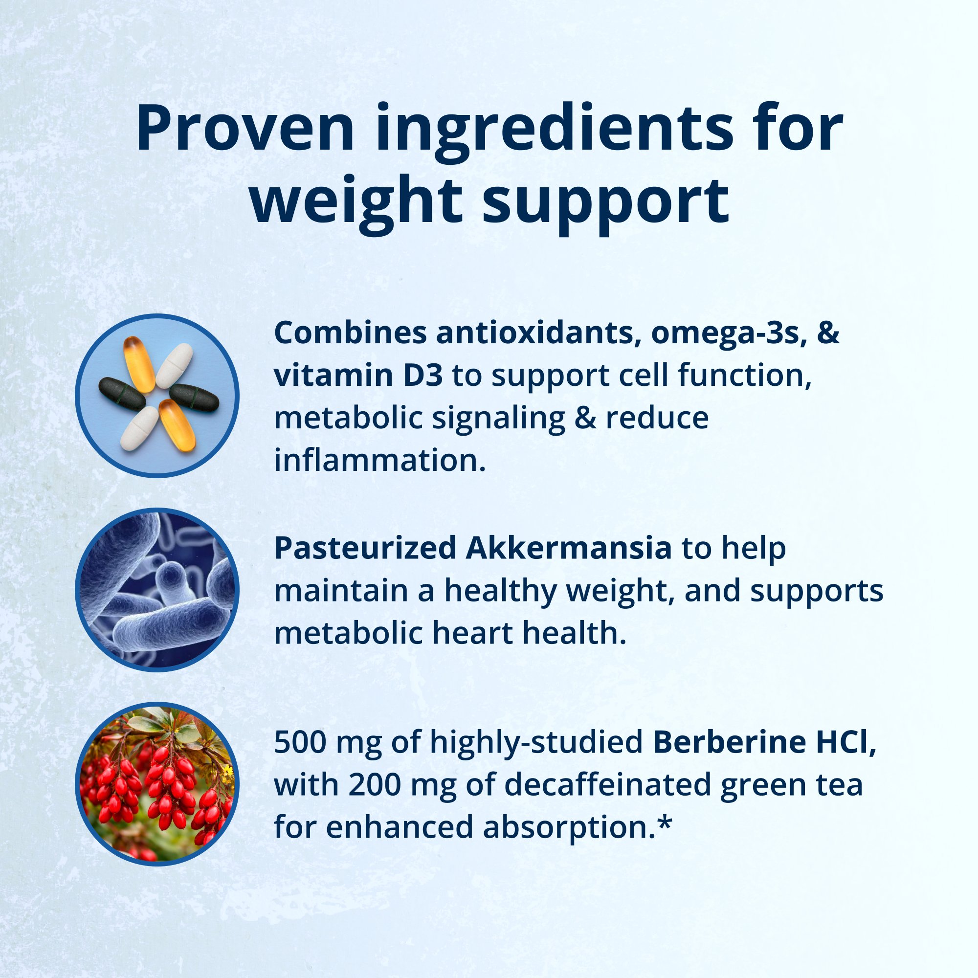 Precision Weight & Hormone Balance for Men by Dr. Bridget Briggs, MD