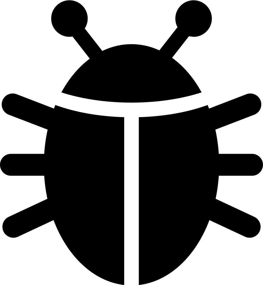 head lice